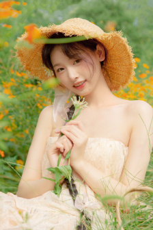 我的團長我的團在線