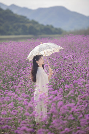 秀秀的男人電視劇全集