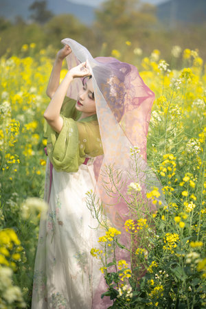 寫文實踐教程BY偷馬頭