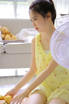 法國滿天星《歡愉》