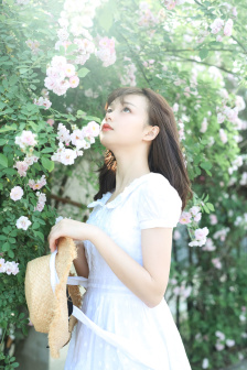 苜蓿怎么做著吃