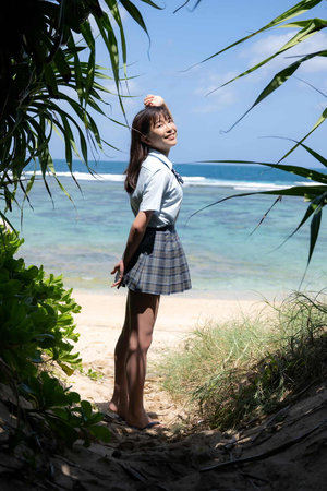 法國滿天星《法國空乘》