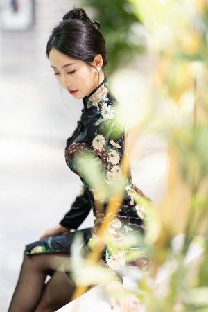 野花香電視劇免費觀看全集高清播放