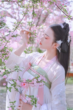 免費視頻WWW可觀看網站