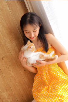 神探狄仁杰沙爾汗第四部