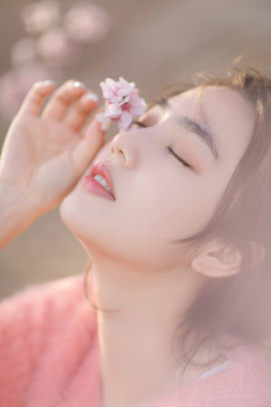 強劍國語版電視劇全集免費播放