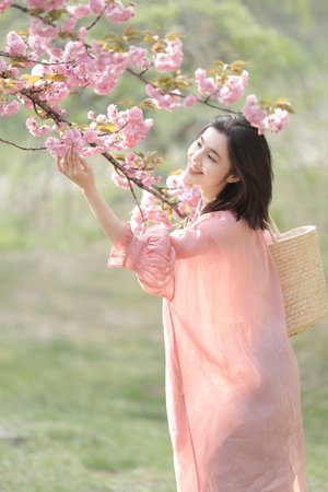 小爸爸電視插曲