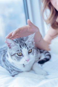 《我們不是親兄妹》動漫播放