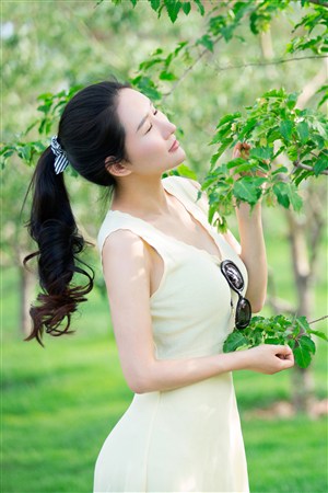 三亞私人高清影院的更新情況