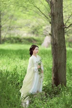 1996版楊思敏免費觀看電視劇