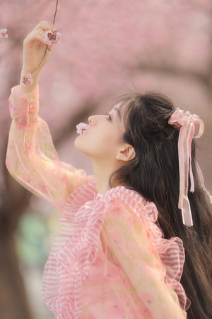 愛情與靈藥在線觀看完整免費