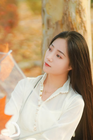 面包網2021最新電視劇